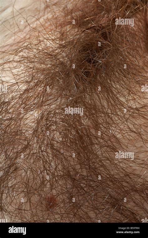 Pubic Hair Porn Pics & Naked Photos